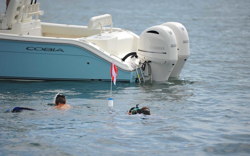 Cobia 280 CC