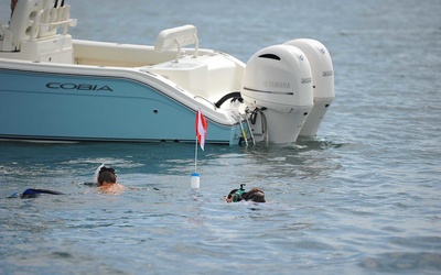 Cobia 280 CC