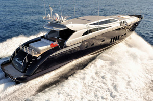 ARNO Leopard 34