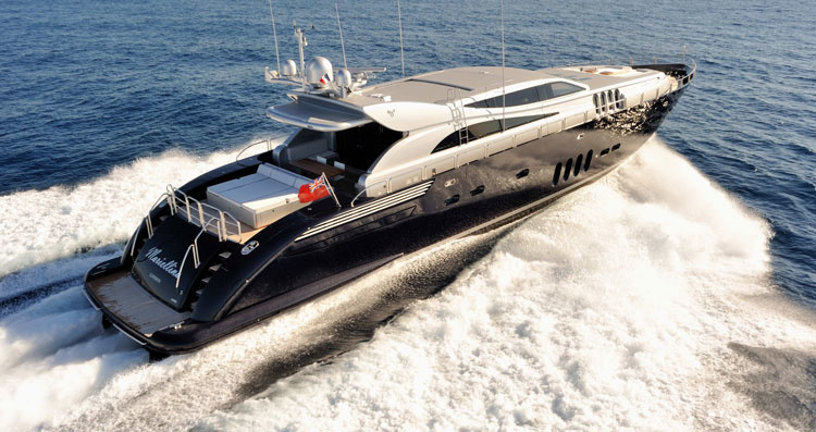 ARNO Leopard 34