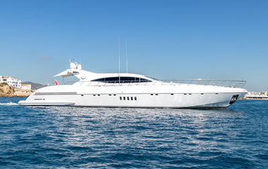 Mangusta Belisa