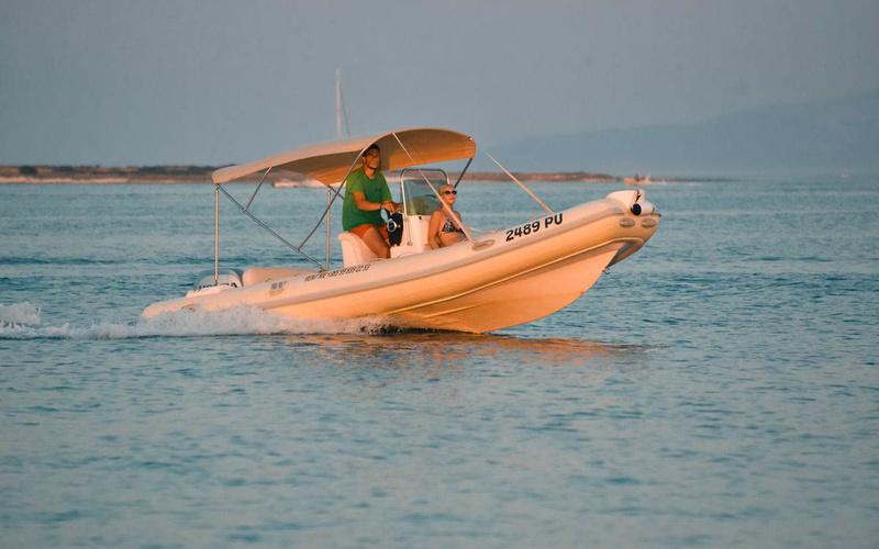 Tiger Marine ProLine 550