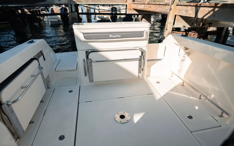 Bayliner T23 Pilothouse