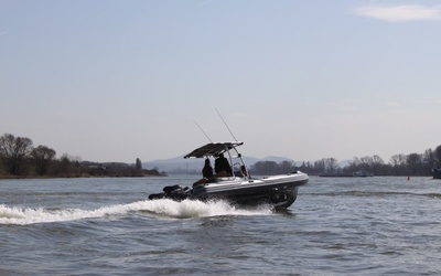 R.I.B.-Line MV 800