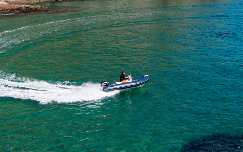 Brig Falcon 500