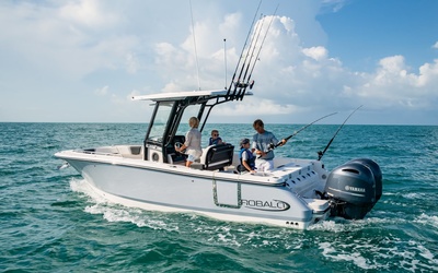 Robalo R250