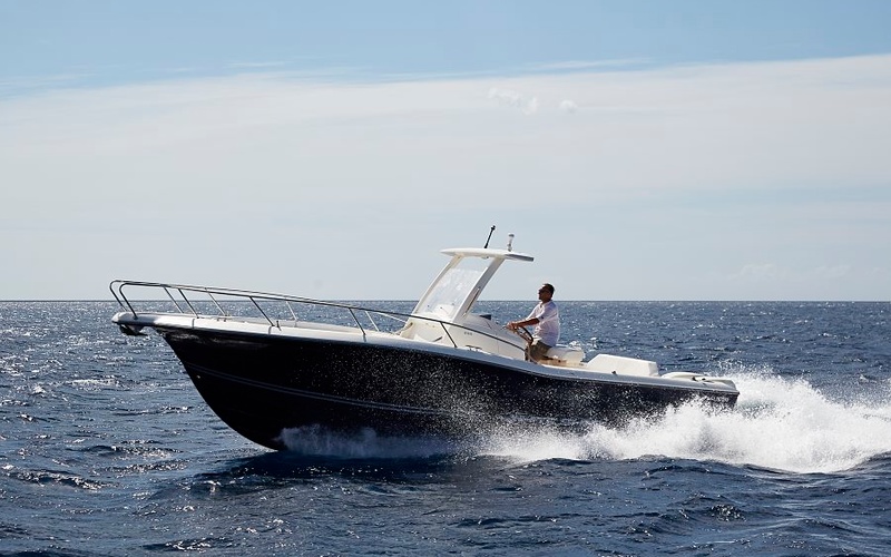 White Shark 296CC