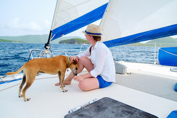 Three in the boat, counting the dog.