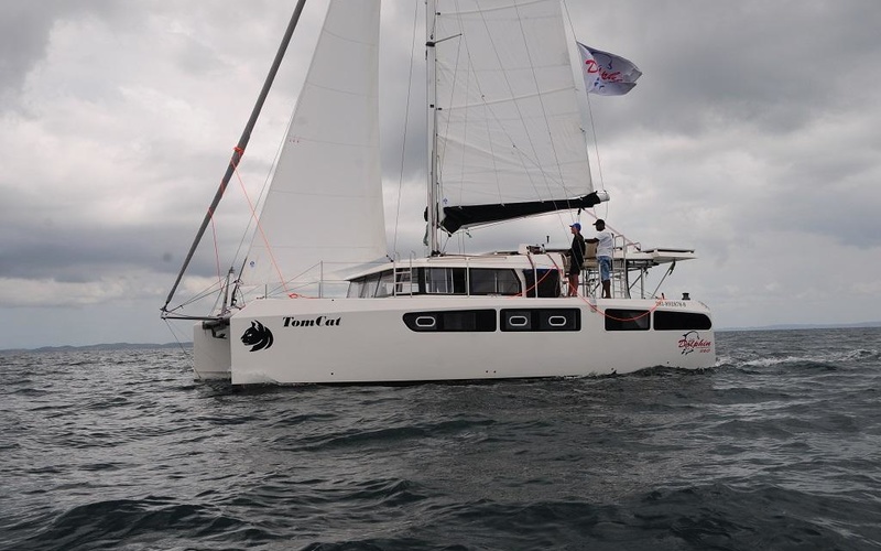 Dolphin 380
