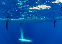 The special patented foil system is the main pride of ClubSwan 36. Thanks to them, the 10.5 meter sailboat is able to sail on windward courses with a roll of 22 degrees and 12-15 degrees.