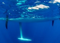 The special patented foil system is the main pride of ClubSwan 36. Thanks to them, the 10.5 meter sailboat is able to sail on windward courses with a roll of 22 degrees and 12-15 degrees.