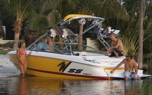 Cobalt 210WSS 