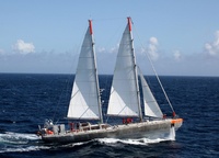 Love at first sight: Tara (36 meters)