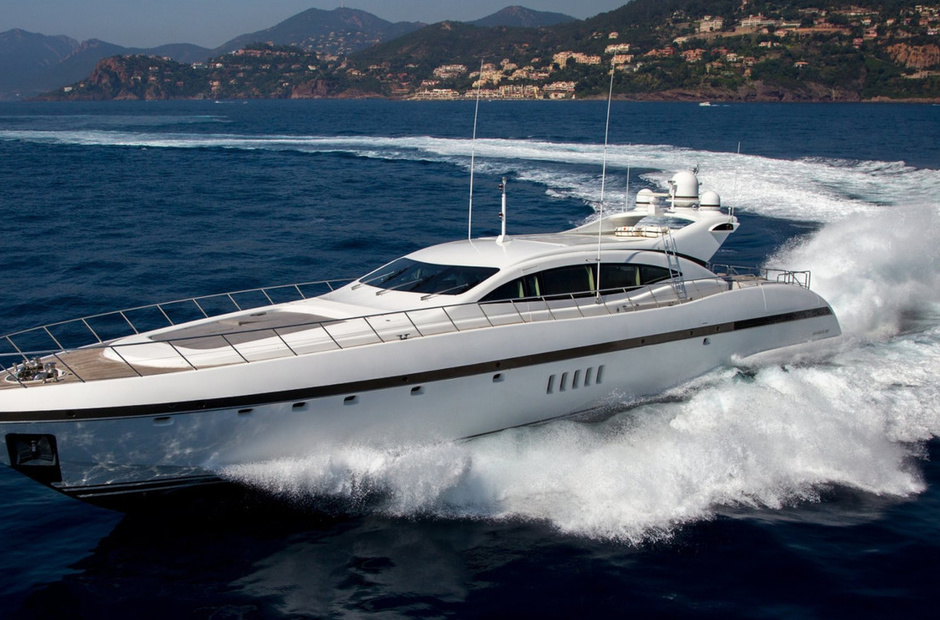 Mangusta Shellona