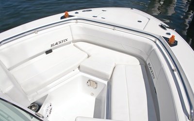 Blackfin 252DC