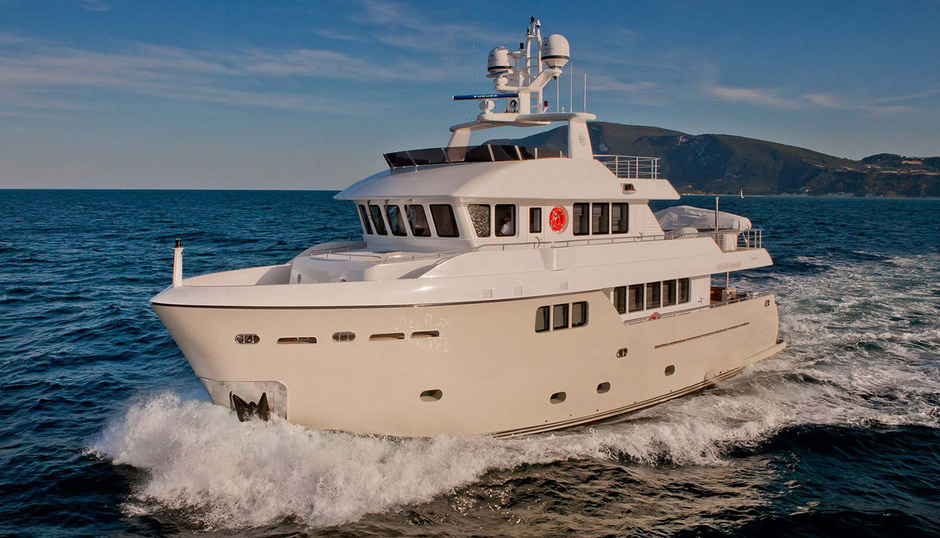 CdM Darwin 86