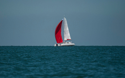 Neel Trimarans 43