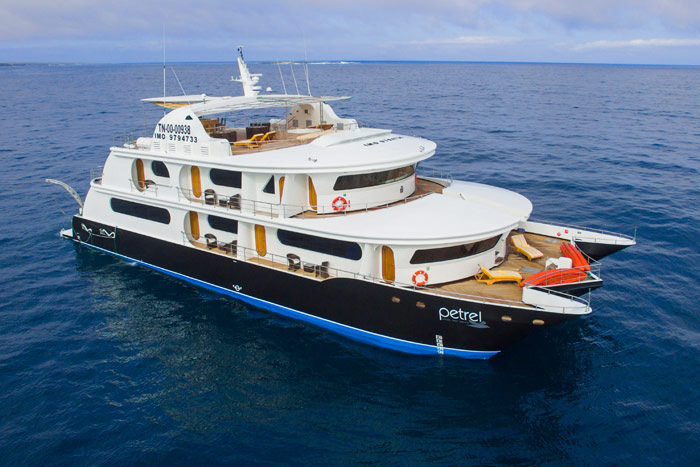 Custom Petrel