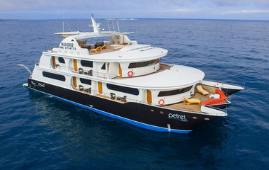 Custom Petrel