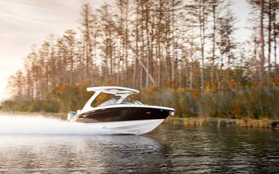 Regal 29 OBX