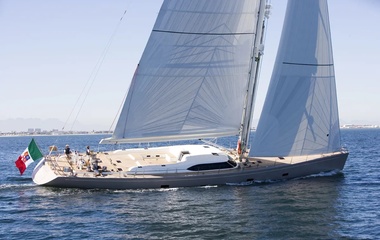 Southern Wind Acaia