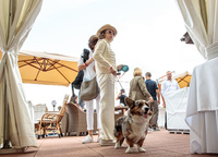 Restaurant «Steamship has» become the main place for communication of guests. 