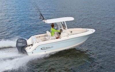 Robalo R222