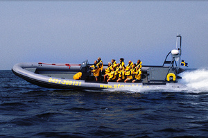 Rupert 40
