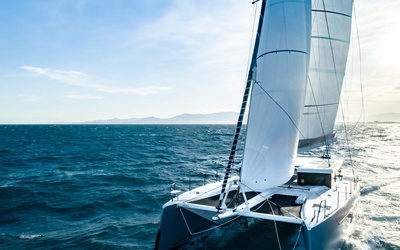 Windelo 54