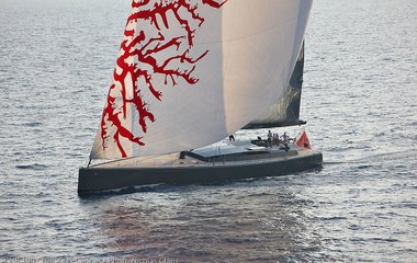 CNB Whimsea