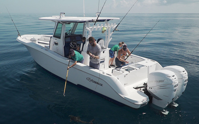 Crevalle 33 CSF