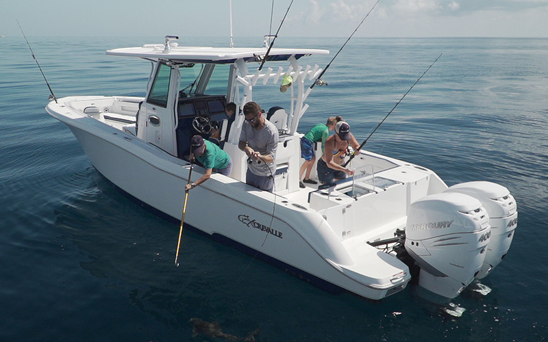 Crevalle 33 CSF
