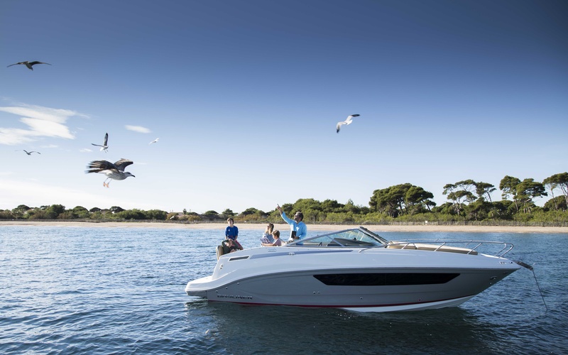 Bayliner 842 Cuddy