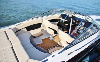 Viper 223 Toxxic