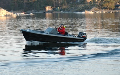 Ring Harbour Rat