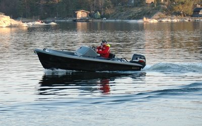 Ring Harbour Rat