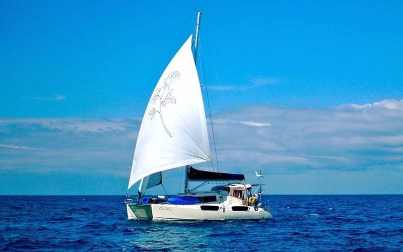 Maverick 440