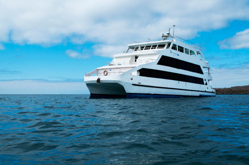 Antonai Saman Queen of Galapagos