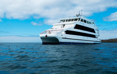 Antonai Saman Queen of Galapagos