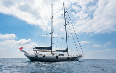 Vos Marine Moss
