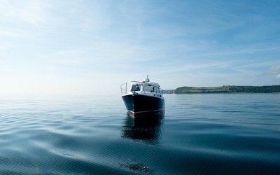 Cockwells Duchy 27