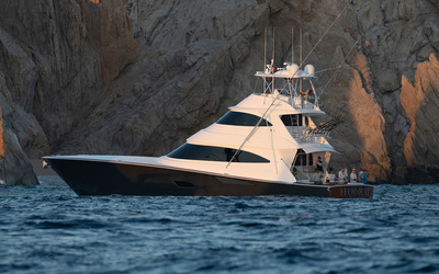 Viking 80SB