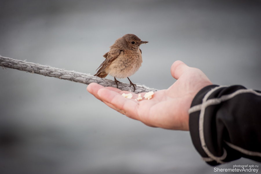 There's always time to feed the bird!