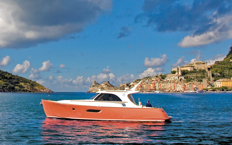 Mochi Craft Dolphin 44