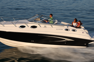 Glastron GS 289