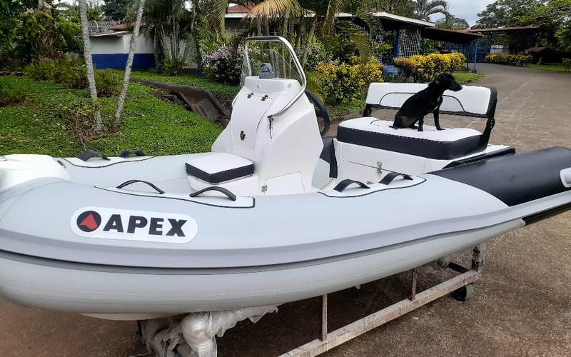 Apex A-11 T