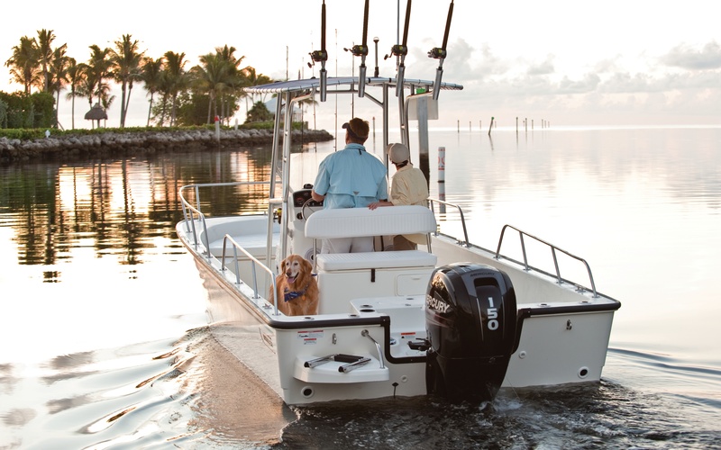 Boston Whaler 210 Montauk