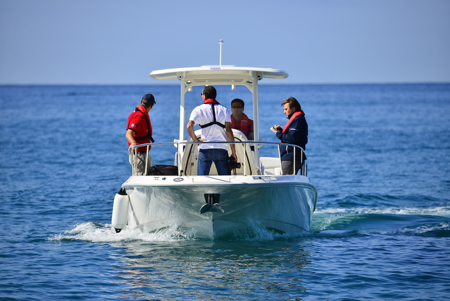 Another Boston Whaler. Model 270 Dauntless. Safety is the cornerstone, there's plenty to hold on to everywhere.