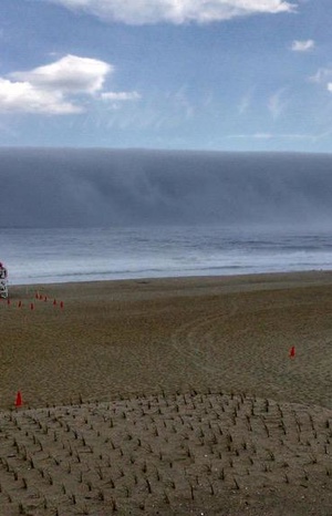 Pretended to be a tsunami.