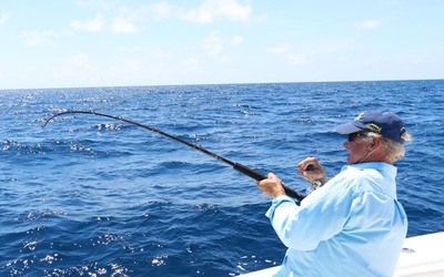 SeaVee 390